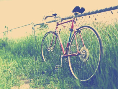 中午好我是壁纸君