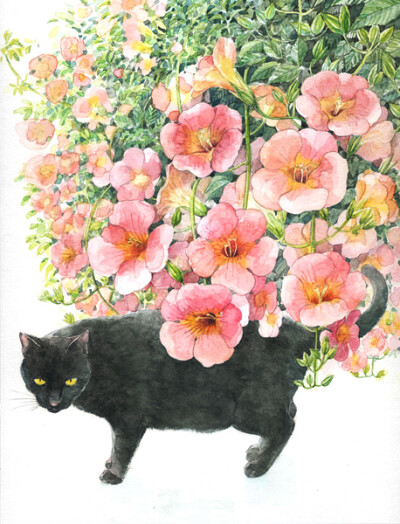 凌霄花和猫。日本插画家山田绿 (Midori Yamada) 喜欢画猫。