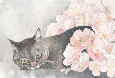 花猫。