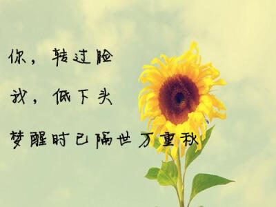 【厦门大学三行情书大赛获奖作品】 你，转过脸 我，低下头， 梦醒时已隔世万重秋。曦