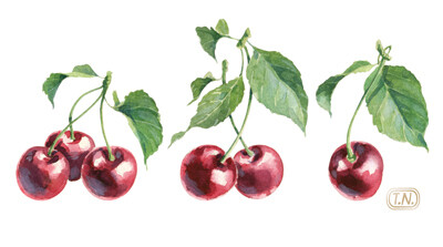 俄罗斯艺术家Natalia Tyulkina的甜美风格水彩壁纸集——共收录120 张图片。其中水彩美食等58张、壁纸60张、平铺效果图2张。专辑前半部分为单图，后半部分为壁纸。画家用单个元素构图成壁纸，无论单图还是壁纸都十分…