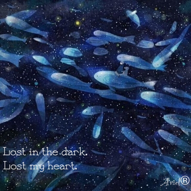 Lost in the dark ,lost my heart.在黑暗中迷失，遗失了，我的心。 Ariel