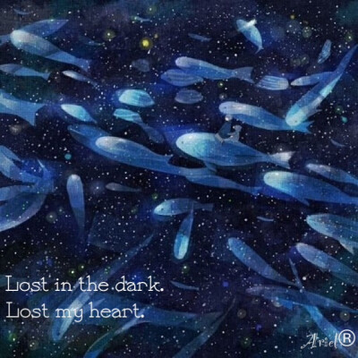 Lost in the dark ,lost my heart.在黑暗中迷失，遗失了，我的心。 Ariel