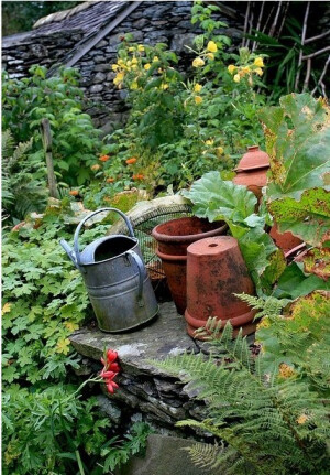 和植物一起生活