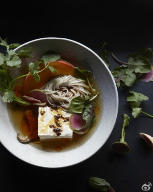 和植物一起生活