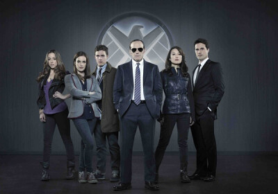 《神盾局特工 Agents of S.H.I.E.L.D.》里常驻演员~~