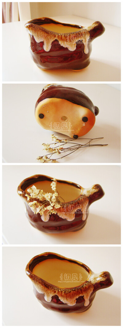 在阳光耀眼的午后，为自己的小花园再添一份惊喜吧~http://item.taobao.com/item.htm?spm=686.1000925.1000774.31.vn9wNS&amp;id=35834733936