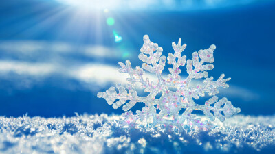 【冰の电脑壁纸】雪花