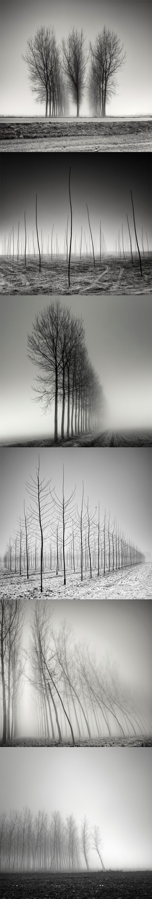 冷冬。（by Pierre Pellegrini ）