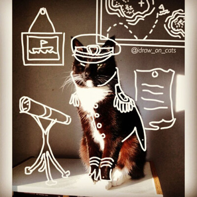 Draw on cats