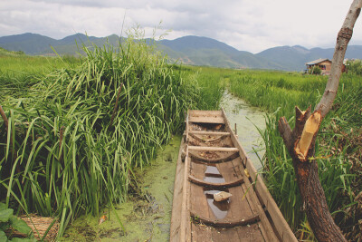 泸沽湖畔，草海