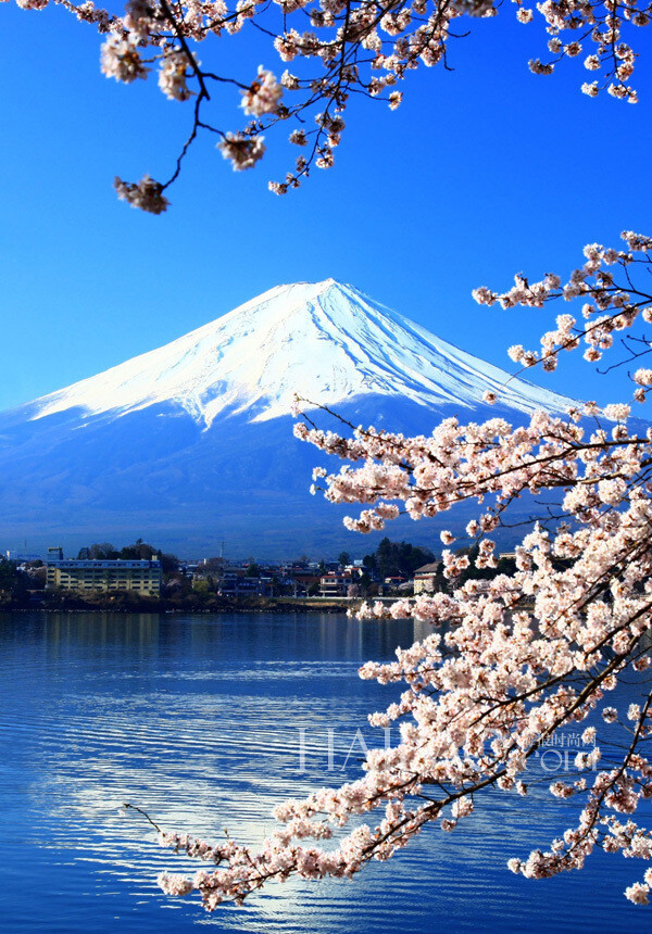 日本，河口湖