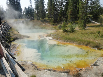 黄石公园。是离那个据说喷发了就会使全美大部分湮没的火山口不过分钟路程。