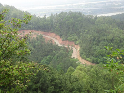 校园后山小路