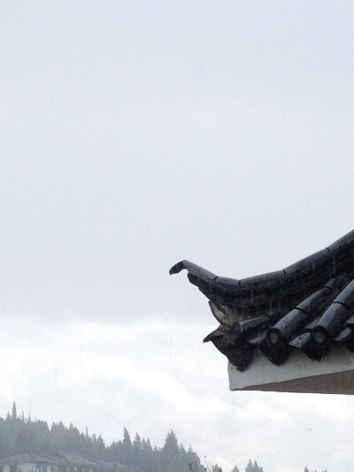 丽江的雨。