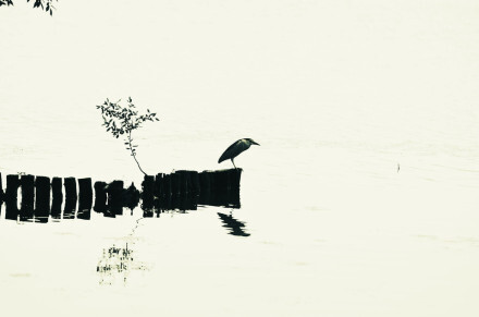 西湖美景 图片来源于http://www.38533.com/