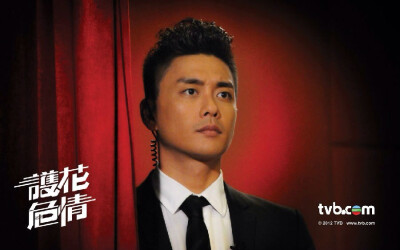 黄宗泽~《护花危情》