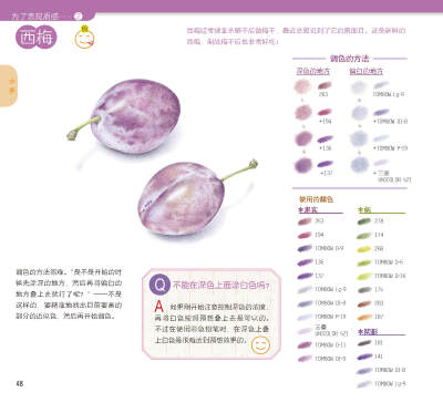 用色铅笔清新细腻的色彩，和花草果实们来一场幸福的邂逅吧！