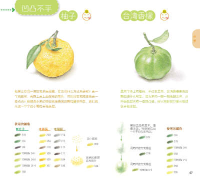 用色铅笔清新细腻的色彩，和花草果实们来一场幸福的邂逅吧！