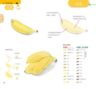 用色铅笔清新细腻的色彩，和花草果实们来一场幸福的邂逅吧！