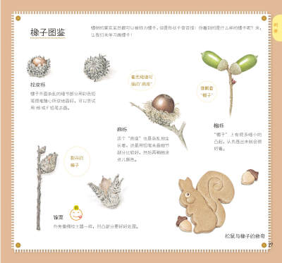 《色铅笔de自然彩绘——清新花草•美味果实》