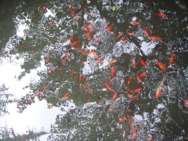 成都—武侯祠