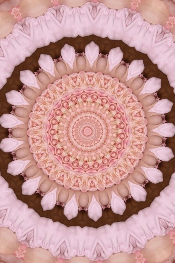 彼岸花。IPhone壁纸。