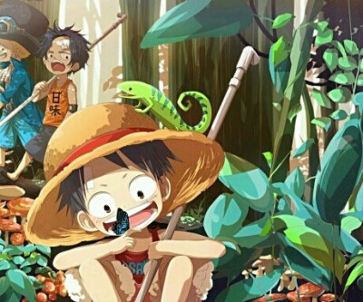 路飞小时候好可爱～