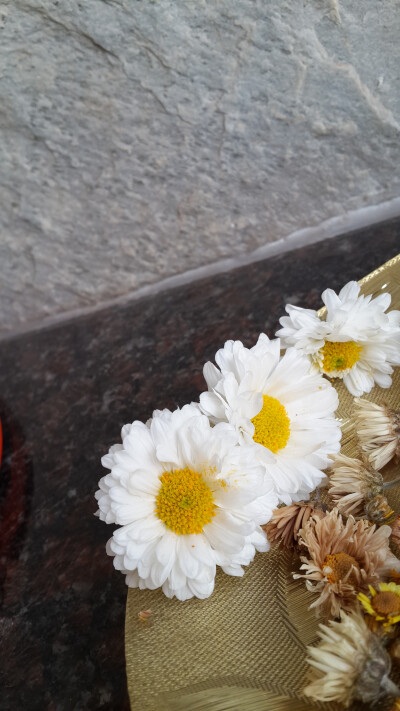 淡。好看文艺的壁纸【壁纸君】