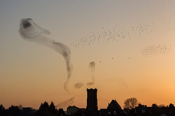 摄影师Nigel McCall作品..