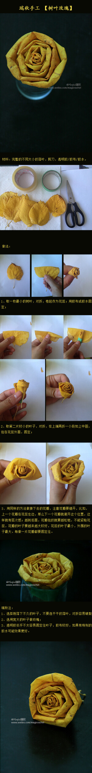 新浪微博@Magic瑞秋 ：用树叶做玫瑰花