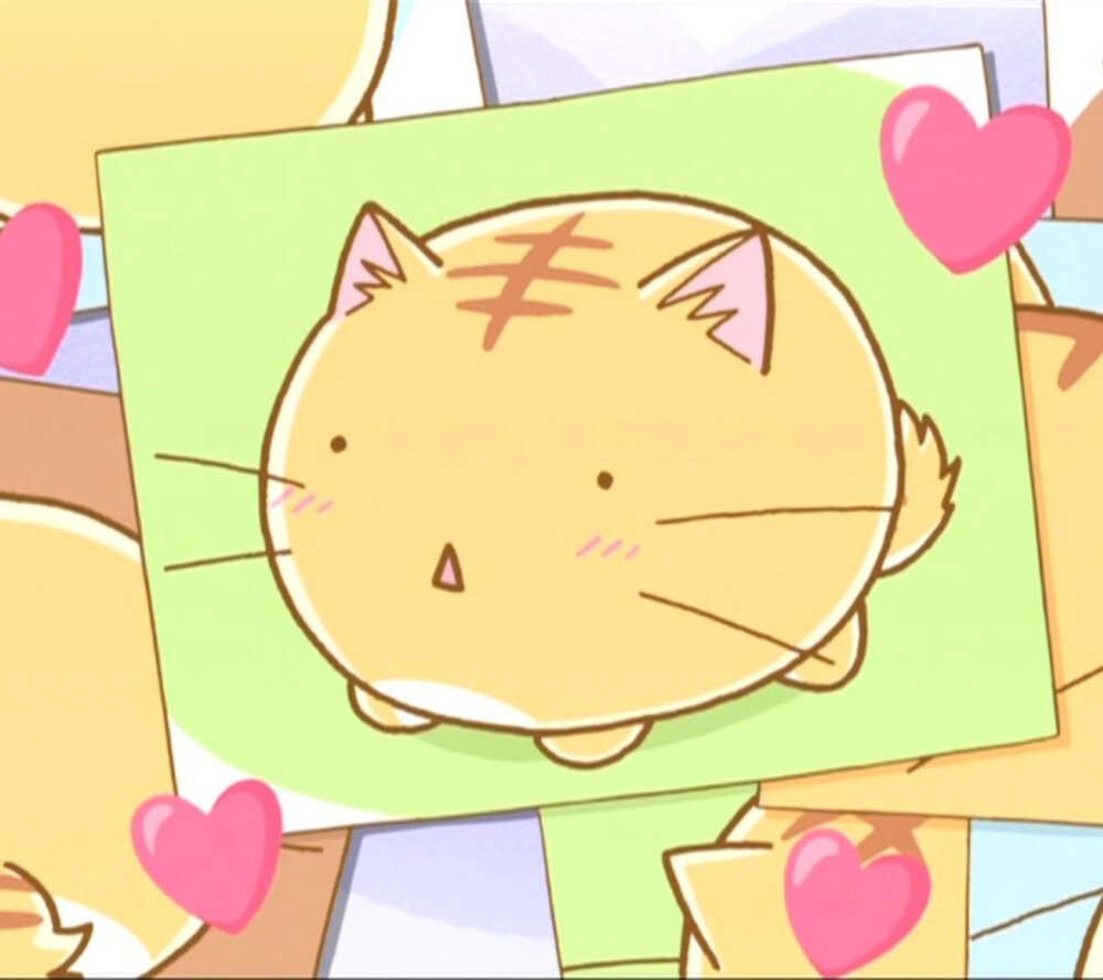 小虎皮猫