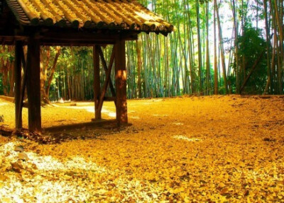  镜头下的日本：京都府乙训郡大山崎町观音寺、「山崎聖天」。摄影by kokkon