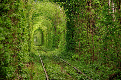 Tunnel of Love, Ukraine-爱的隧道 乌克兰：乌克兰爱的隧道（Kleven Tunnel）位于乌克兰的克莱文镇（Kleven）附近，是一段长约3公里的铁路。但它与众不同的地方在于，其四周是由树木及绿色藤蔓围绕而成，绿色植物构…