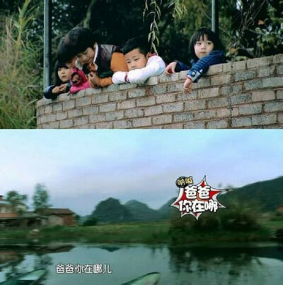 五娃