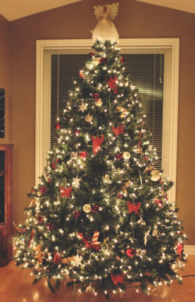 如果可以在家放一棵圣诞树就好啦！