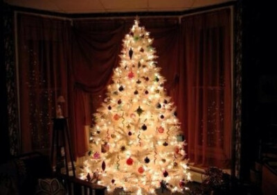 金灿灿的Christmas tree
