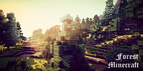 【丛林日出】 Kenneth_LDQ 原创 minecraft吧 我的世界 光影 材质 签名档