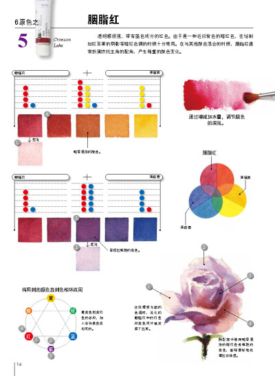 摘自《让水彩画达到极致的调色技法：日本绘画大师铃木辉实的水彩画配色心得》六原色之胭脂红