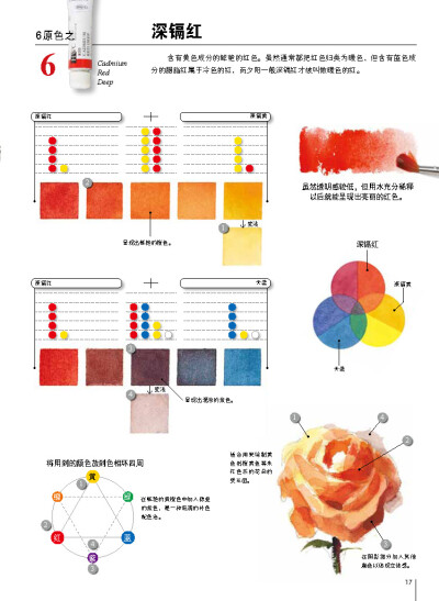 摘自《让水彩画达到极致的调色技法：日本绘画大师铃木辉实的水彩画配色心得》六原色之深镉红