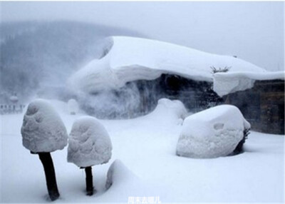 周末去哪儿 爸爸去哪儿 雪乡世界