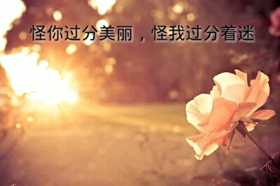 怪你过分美丽，怪我过分优秀