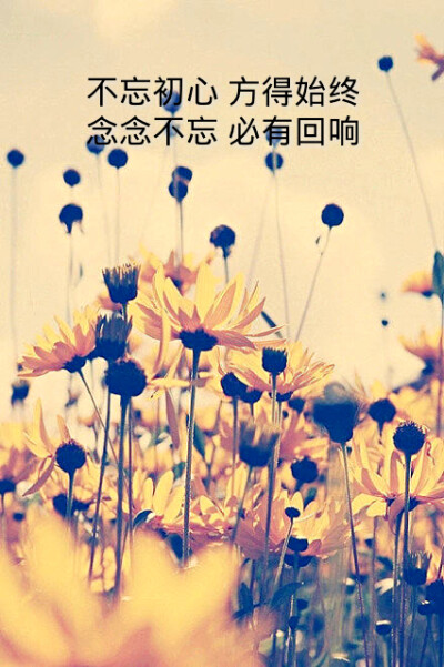 念念不忘，必有回响。