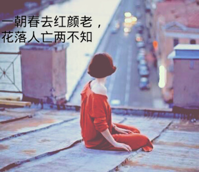 诗，话，人