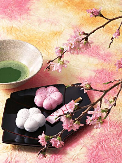 和果子（wagashi），其实泛指日式糕点。就大类别来区分，可以分为生果子和干果子两大主题。生果子由于保存期限短，一般只能放两天左右，要趁鲜食用。比起其它和果子，生果子格外重视造型变化，因此成为日本人送礼用…