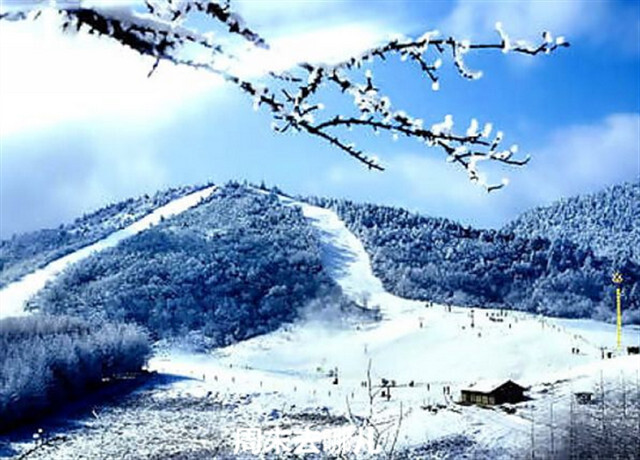 神农架滑雪场 神农架滑雪场是华中地区第一家规模最大、功能齐全的高山天然滑雪场，神农架四季景色各异：春的翠绿、夏的凉爽、秋的绚丽、冬天的神农架更是银装素裹，满树银花，雪质尤佳的神农架被誉为“南国滑雪胜地”。