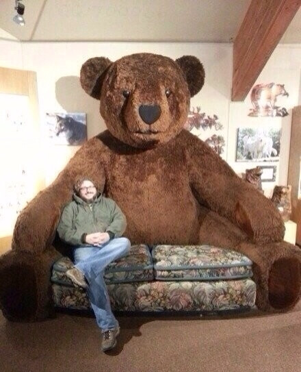 霸气侧漏的泰迪熊沙发