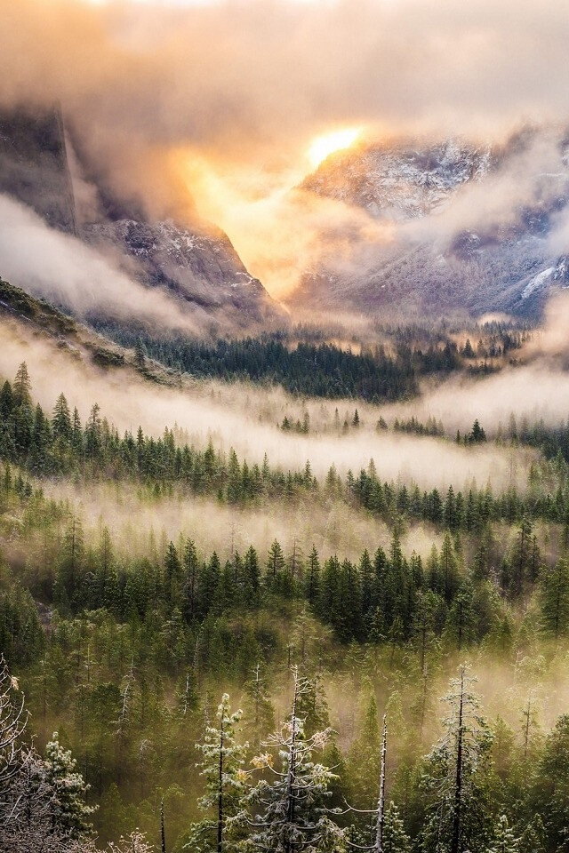 约塞米蒂山谷景色. -叶-