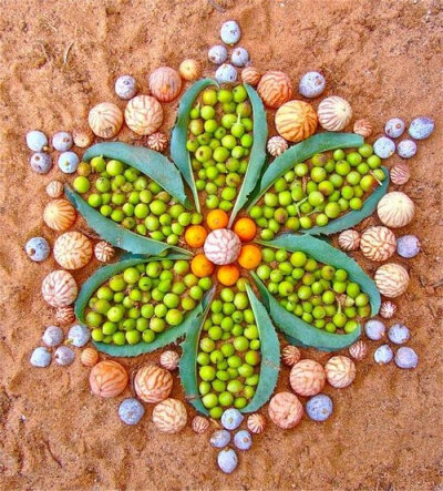 美国女艺术家Kathy Klein的作品，她使用花朵、树叶或者果实等天然材料创作出这些精美的纹样图案，好似大自然的万花筒。