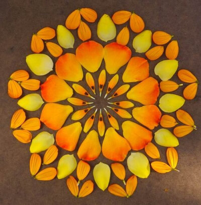美国女艺术家Kathy Klein的作品，她使用花朵、树叶或者果实等天然材料创作出这些精美的纹样图案，好似大自然的万花筒。
